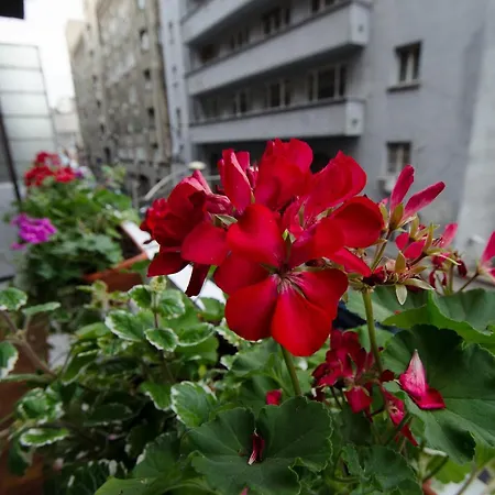 Διαμέρισμα Central Old Town - 2